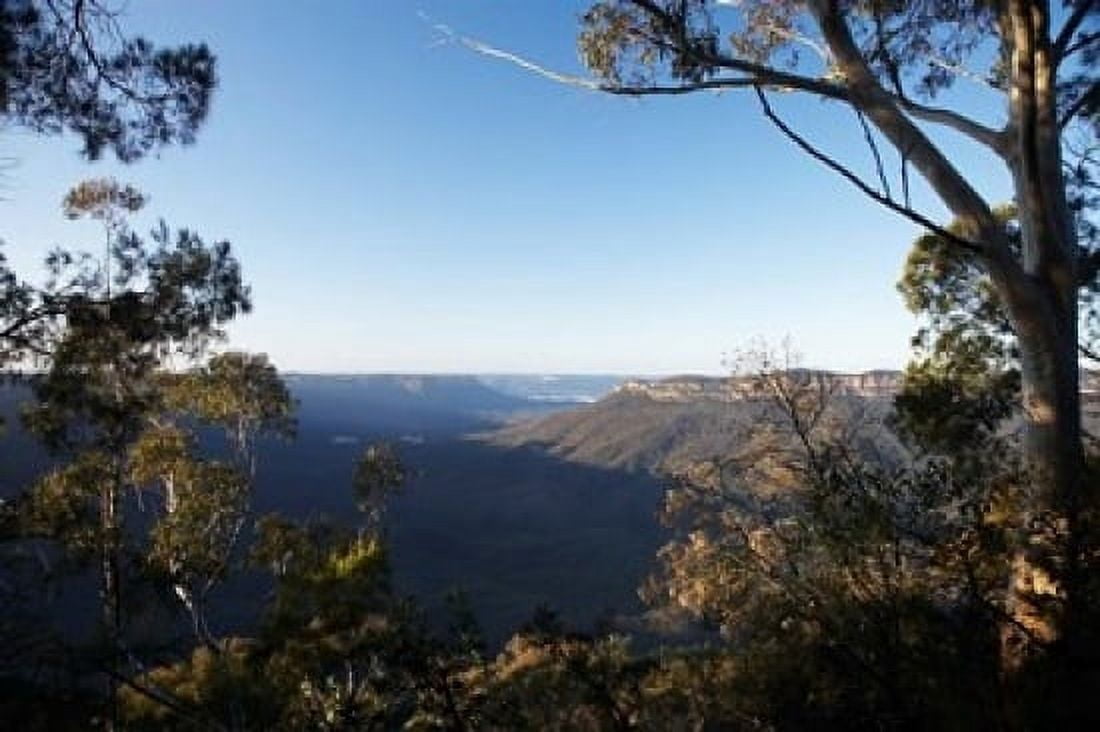 Australia NSW Blue Mountains Jamison Valley Canvas Art - David Wall DanitaDelimont (36 x 24)