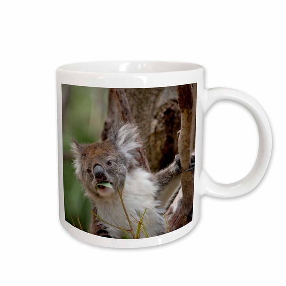 3drose, Australia, Perth, Yanchep National Park. Koala, Aka Koala Bear., 11oz Mug