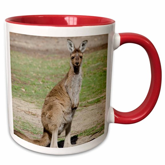 3drose, Australia, Perth, Yanchep National Park. Western Gray Kangaroo., 11oz Two-tone Red Mug