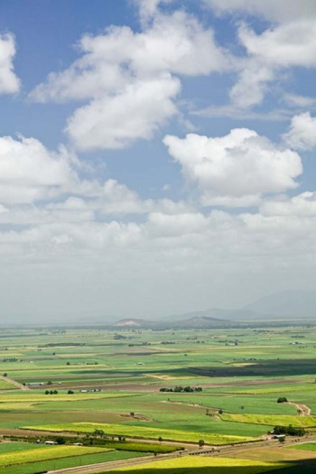 Australia Queensland Coastal Plains agriculture Canvas Art - Walter Bibikow DanitaDelimont (18 x 26)