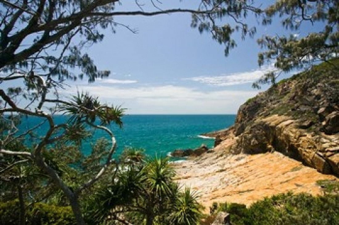 Australia Queensland Cooks Landing beach Canvas Art - Walter Bibikow DanitaDelimont (36 x 24)