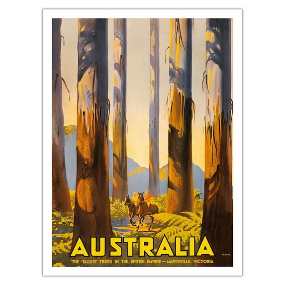 Australia - The Tallest Trees in the British Empire - Marysville Victoria - Vintage Travel Poster by Percy Trompf c.1930 - Bamboo Fine Art 290gsm Paper (Unframed) 12x16in