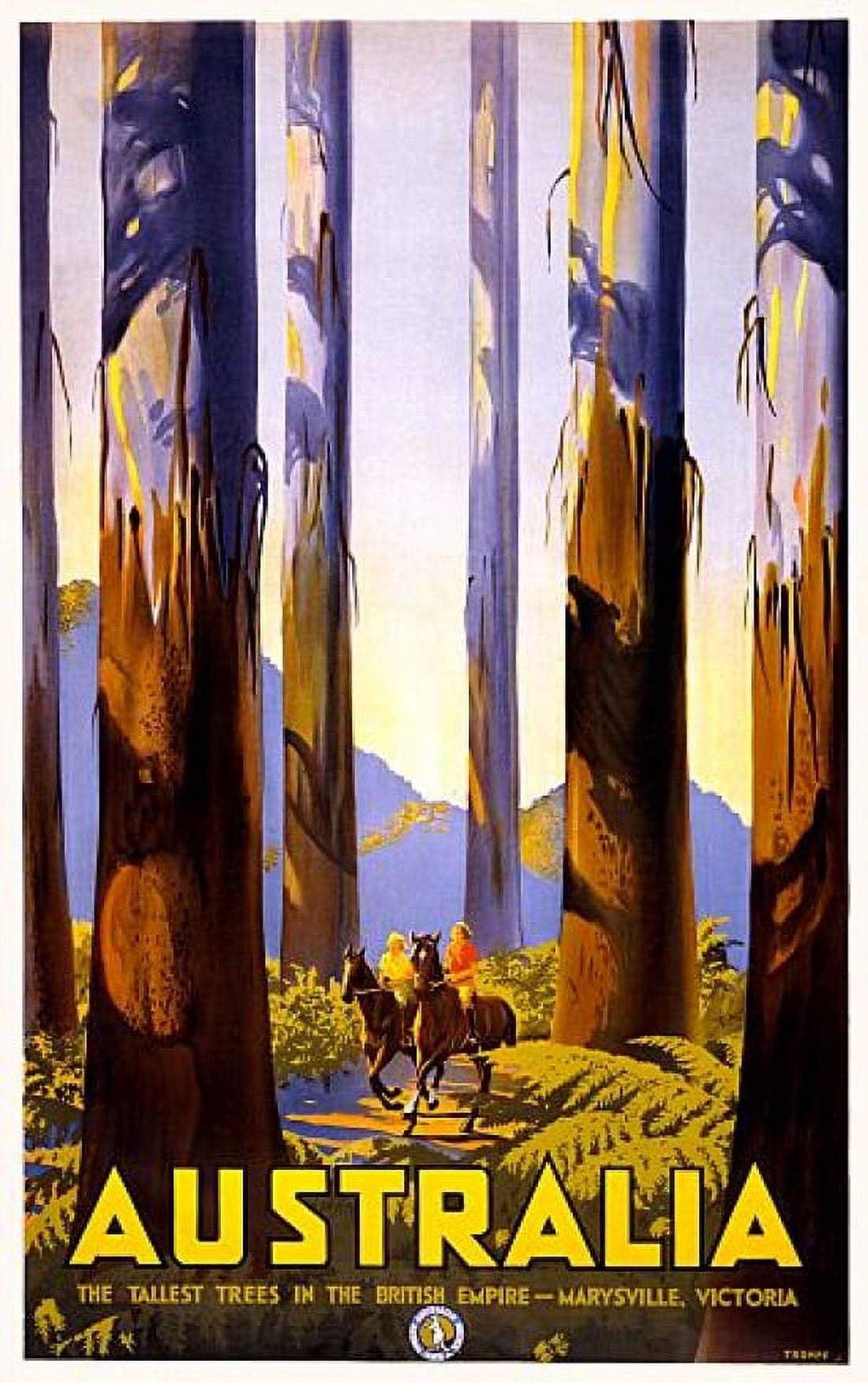Australia Tallest Trees In British Empire Travel Canvas Art - (24 x 36)