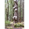thumbnail image 1 of Australia Tasmania Cradle Mountain-Lake St Clair NP. Overland Track. Poster Print by Trish Drury, 1 of 3