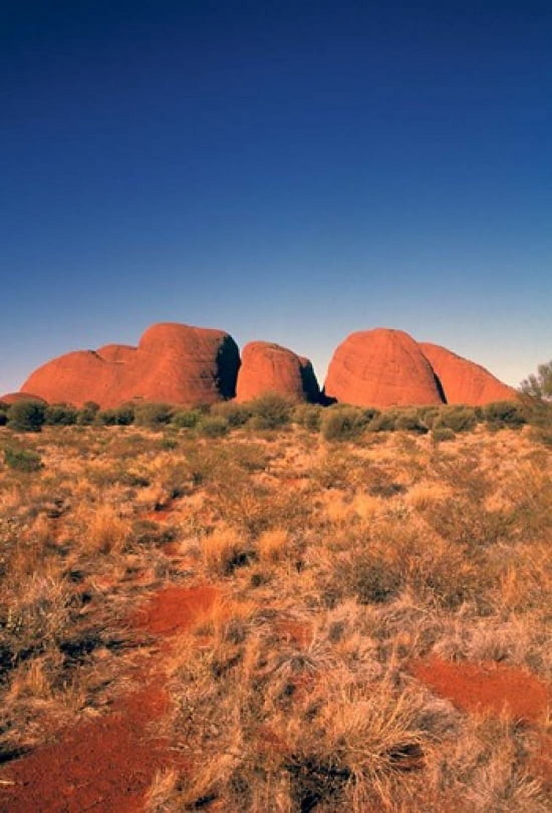 Australia Uluru Kata Tjura Outback The Olgas Canvas Art - Bill Bachmann DanitaDelimont (24 x 36)