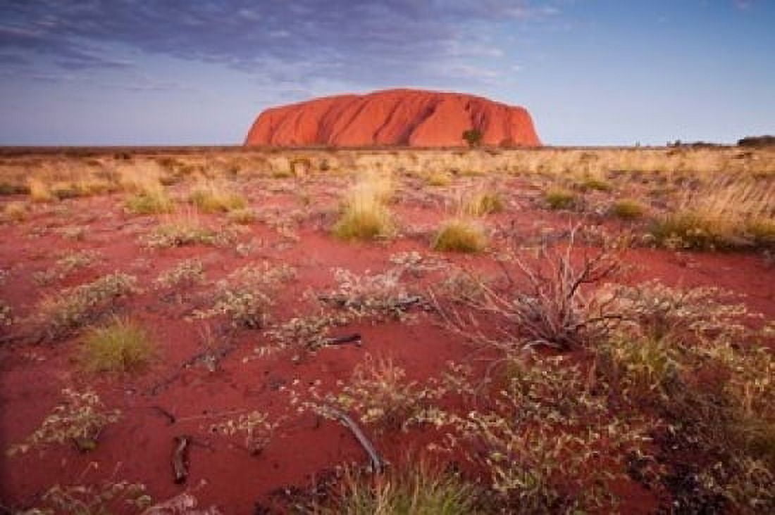 Australia Uluru-Kata Tjuta NP Outback Ayers Rock Canvas Art - Paul Souders DanitaDelimont (36 x 24)