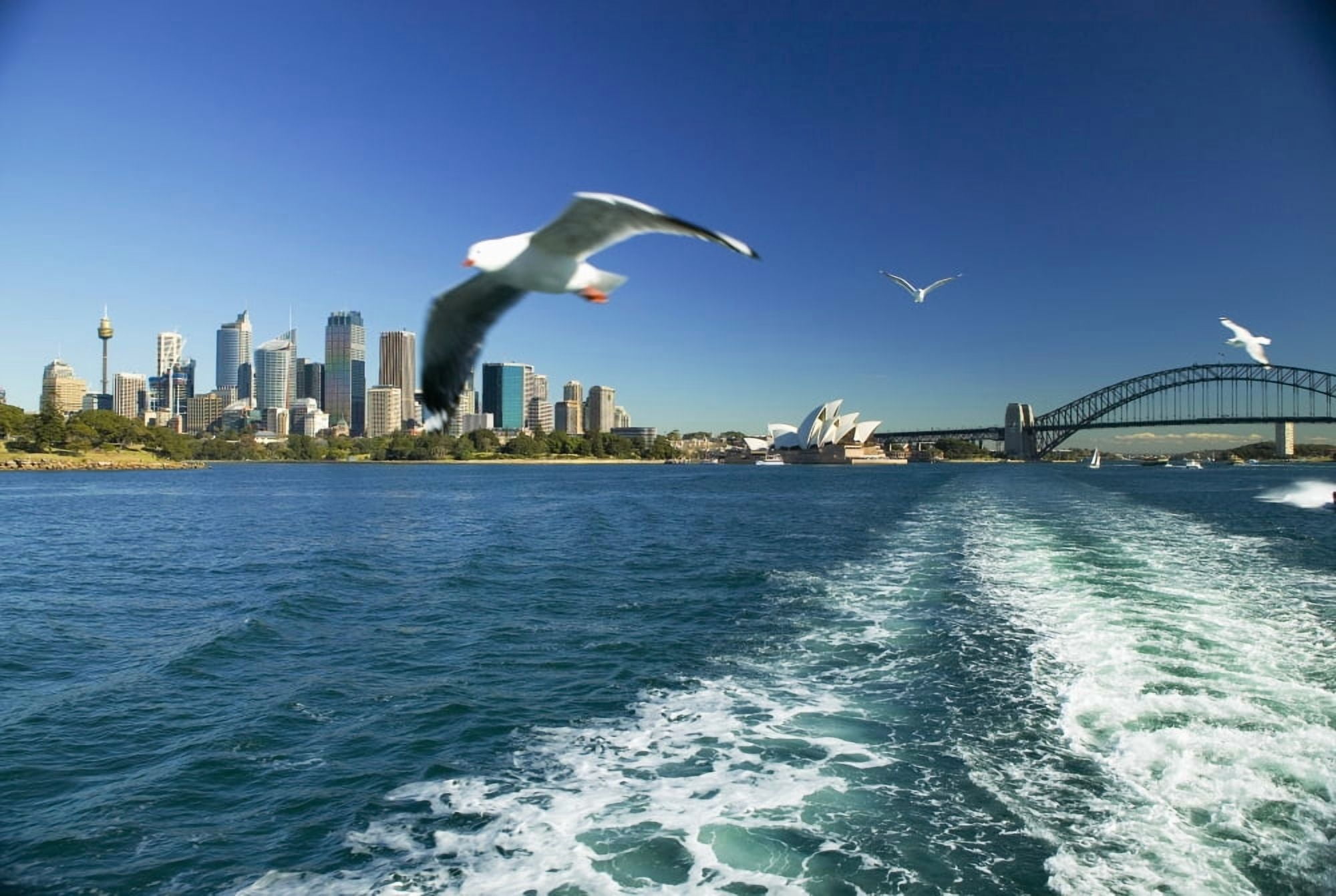 Australia View of Sydney harbor from ferry Sydney Canvas Art - Dana Edmunds Design Pics (34 x 22)