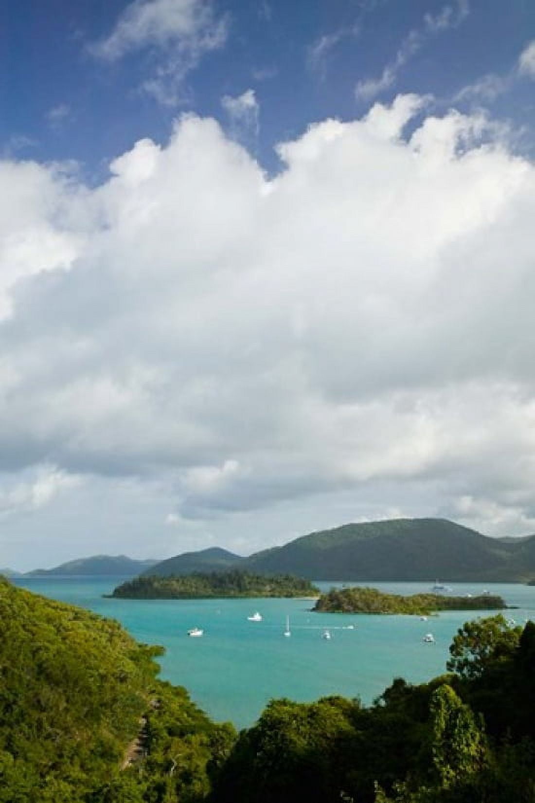Australia Whistsunday Airlie Beach Shute Harbour Canvas Art - Walter Bibikow DanitaDelimont (18 x 26)