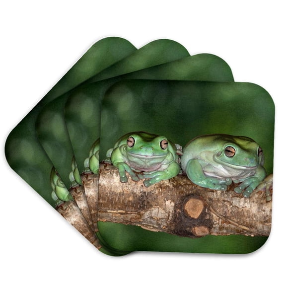 3drose, Australia. Whites Tree Frogs on Log., Set of 4 Coasters - Soft