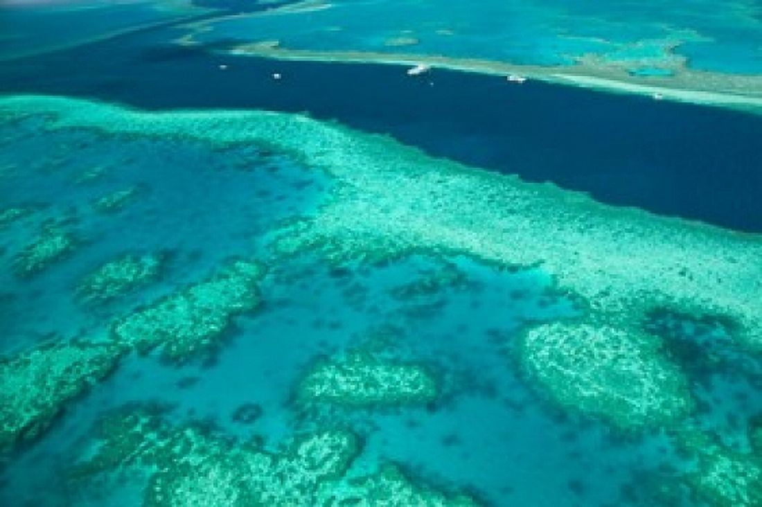 Australia Whitsunday Coast Great Barrier Reef (horizontal) Canvas Art - Walter Bibikow DanitaDelimont (26 x 18)