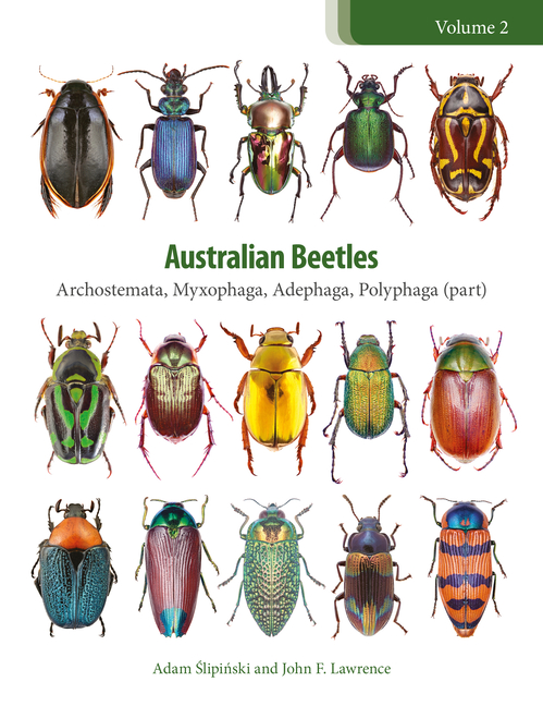 Polyphaga Characters Australian Beetles Australian Beetles: Archostemata, Myxophaga ...