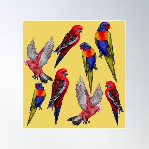 Australian Birds Watercolour Poster Wall Art, Modern Wall Decor For Living Room Bedroom, 8x12 UNFRAMED