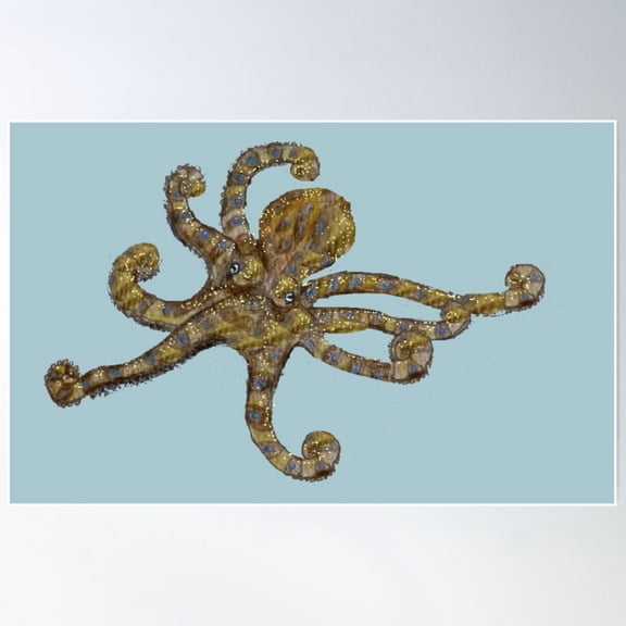 Australian Blue Ringed Octopus Poster Wall Art Modern Wall Decor For Living Room Bedroom Art