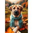 thumbnail image 1 of Australian Cattle Dog Blue - Best of Breed DCR Falling Leaves Garden Flag 12" x 17", 1 of 1