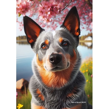 Australian Cattle Dog Blue - Best of Breed DCR Spring Garden Flag
