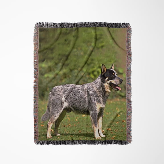 Australian Cattle Dog, Woven Blanket