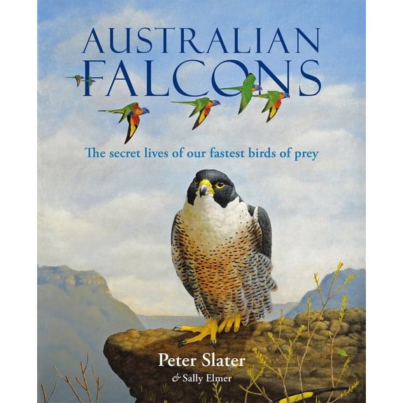 Australian Falcons (Hardcover)