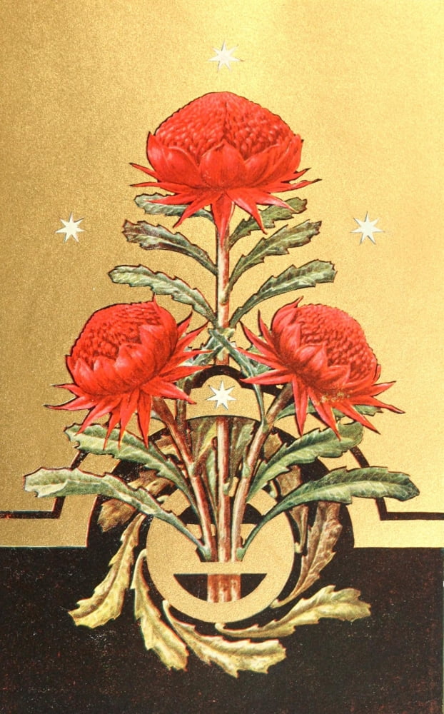 Australian Flora in Applied Art 1915-12 Canvas Art - (24 x 36)