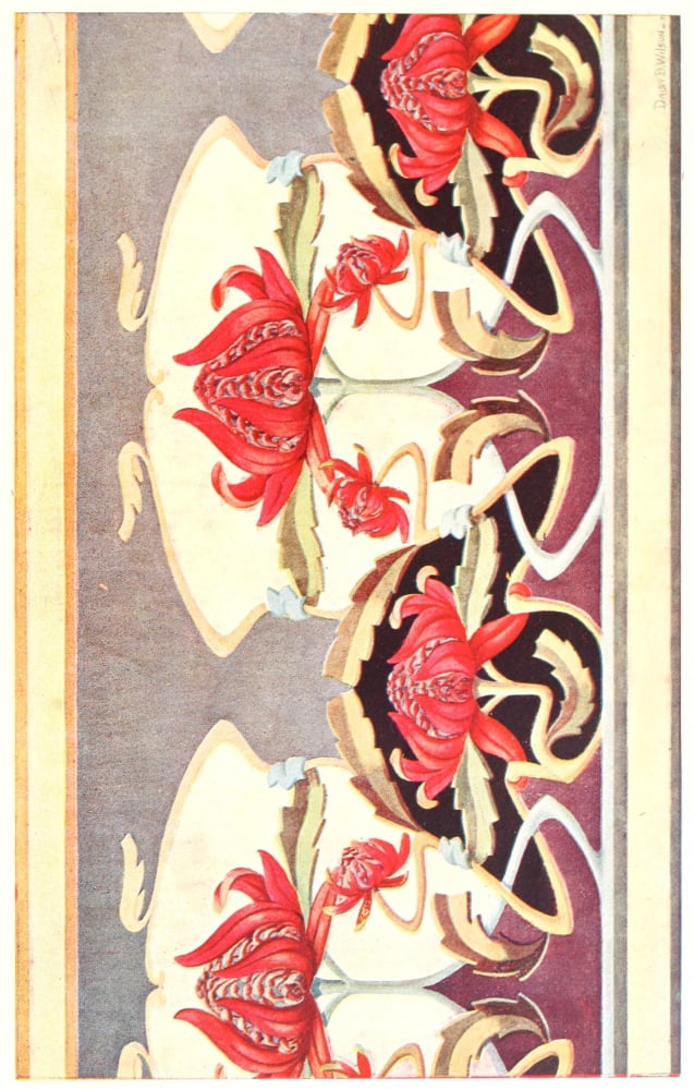 Australian Flora in Applied Art 1915-14 Canvas Art - (18 x 24)
