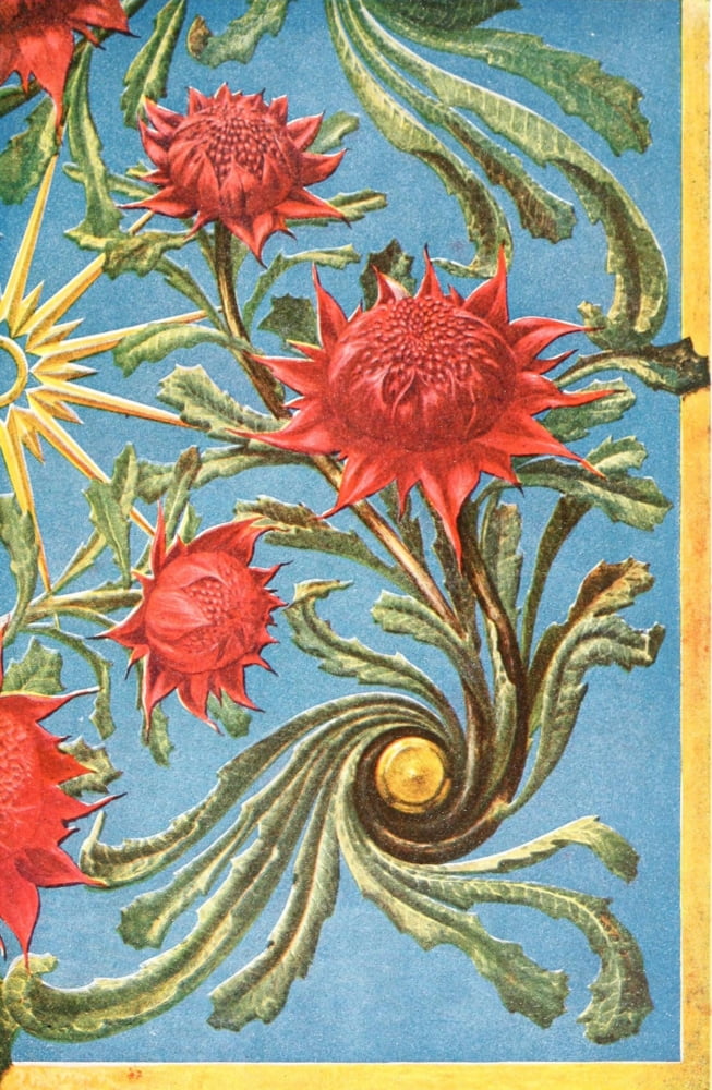 Australian Flora in Applied Art 1915-5 Canvas Art - (24 x 36)