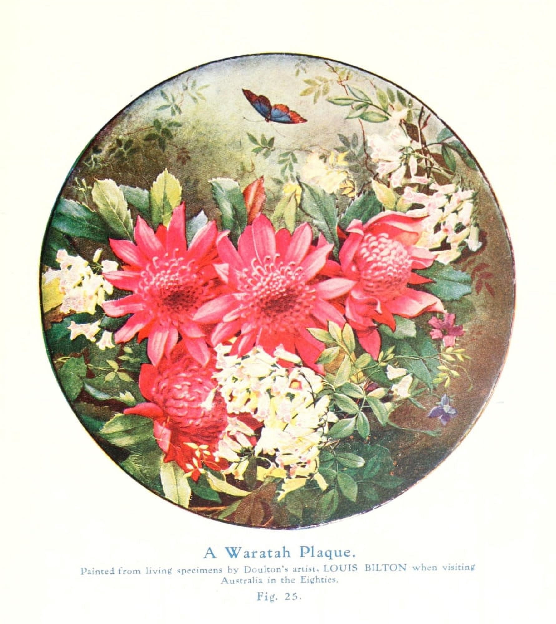 Australian Flora in Applied Art 1915-6 (Louis Bilton 1860-1910) Canvas Art - (18 x 24)