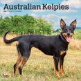 thumbnail image 1 of Australian Kelpies 2027 12x24" (Hanging) Wall Calendar | Plastic-Free | BrownTrout, 1 of 9
