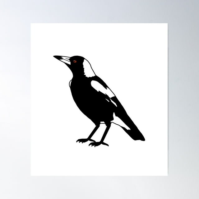 Australian Magpie White Poster Wall Art, Modern Wall Decor For Living
