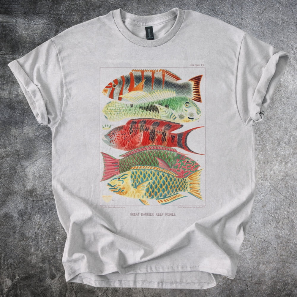 Australian Reef Fish Color Chart Tropical Species Gray Graphic Creative ...