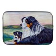 thumbnail image 1 of Australian Shepherd Dish Drying Mat, 1 of 1