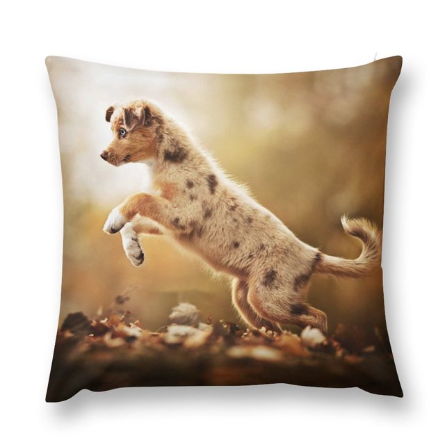 Australian Shepherd Funny Microfiber Pillow Cases for Bed Cushion Cover