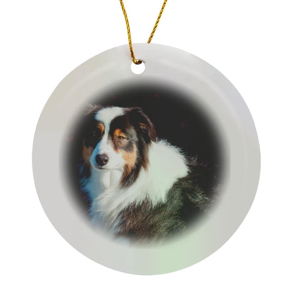 3drose, Australian Shepherd Looking at Camera, Circle Porcelain Ornament