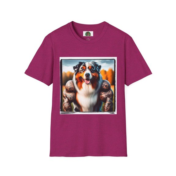 Australian Shepherd Muscle Dog