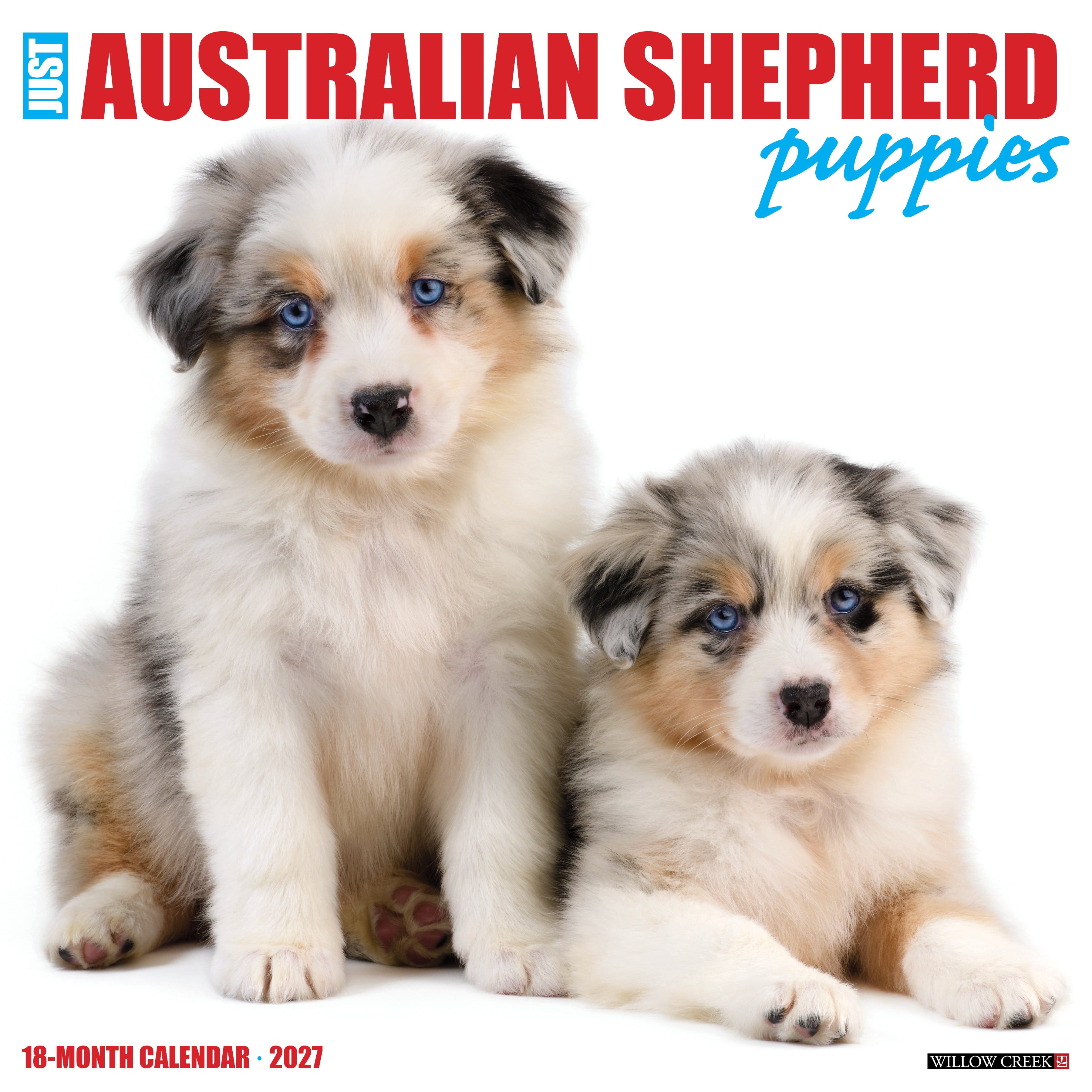 Willow Creek Press, Australian Shepherd Puppies 2027 Wall Calendar