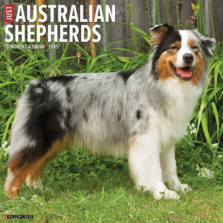 Australian Wall Calendar 2025 Joya Rubina