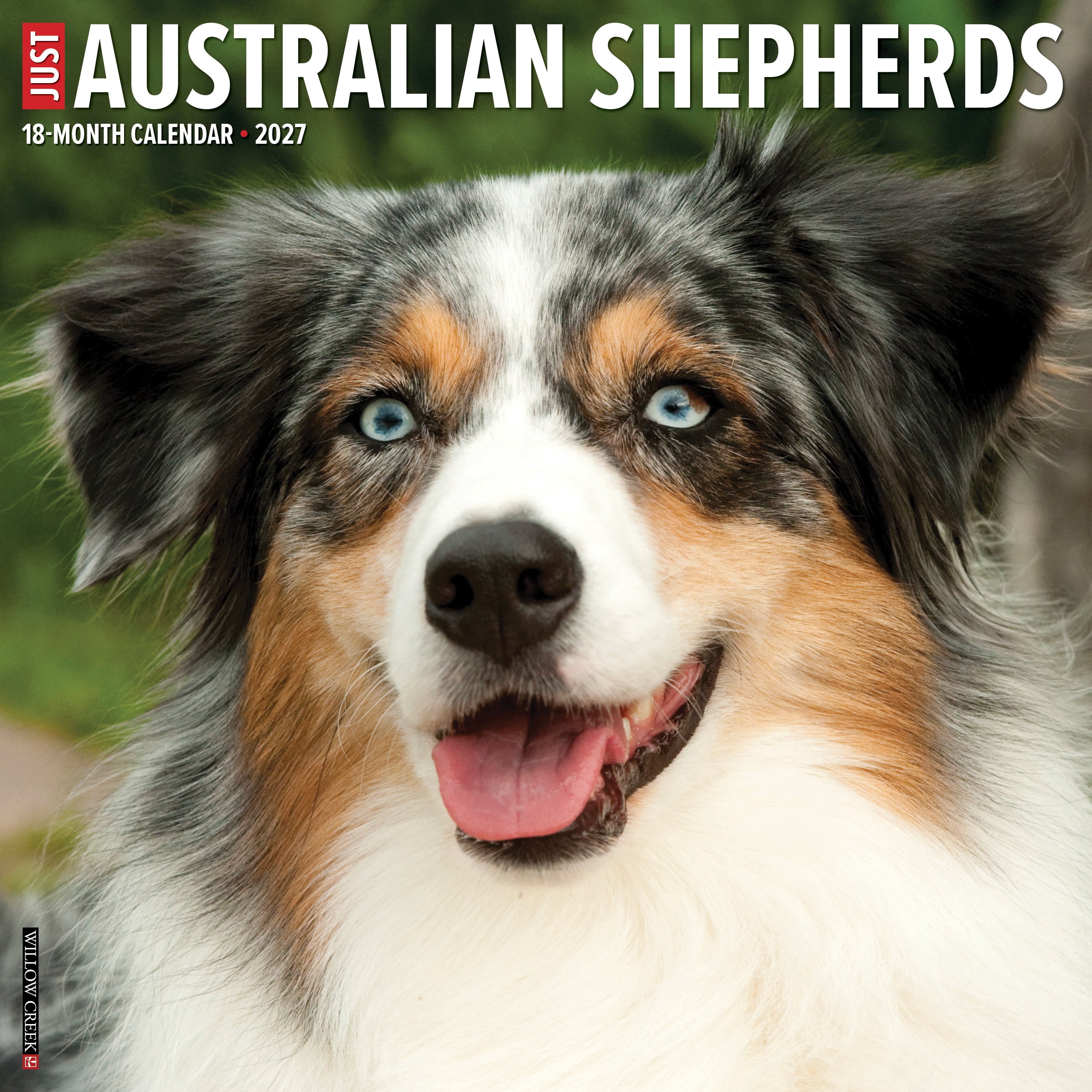 Willow Creek Press, Australian Shepherds 2027 Wall Calendar