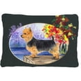 thumbnail image 1 of Australian Terrier Decorative Indoor & Outdoor Fabric Pillow - 12 x 16 in., 1 of 1