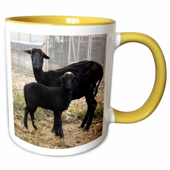 3drose, Austria, Black Goats, Farm Animals-eu03 Ist0034 - Inti St. Clair, 11oz Two-tone Yellow Mug