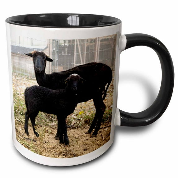 3drose, Austria, Black Goats, Farm Animals-eu03 Ist0034 - Inti St. Clair, 15oz Two-tone Black Mug