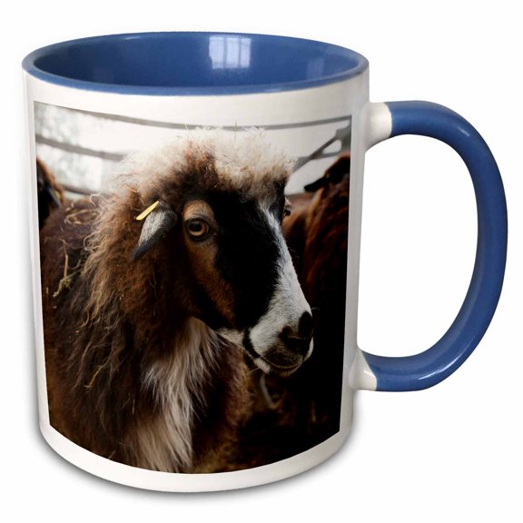 3drose, Austria - Closeup of Furry Goat, Farm Animal-eu03 Ist0031 - Inti St. Clair, 11oz Two-tone Blue Mug