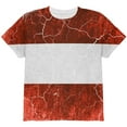 thumbnail image 1 of Austrian Flag Distressed Grunge All Over Youth T Shirt Multi YXL, 1 of 2