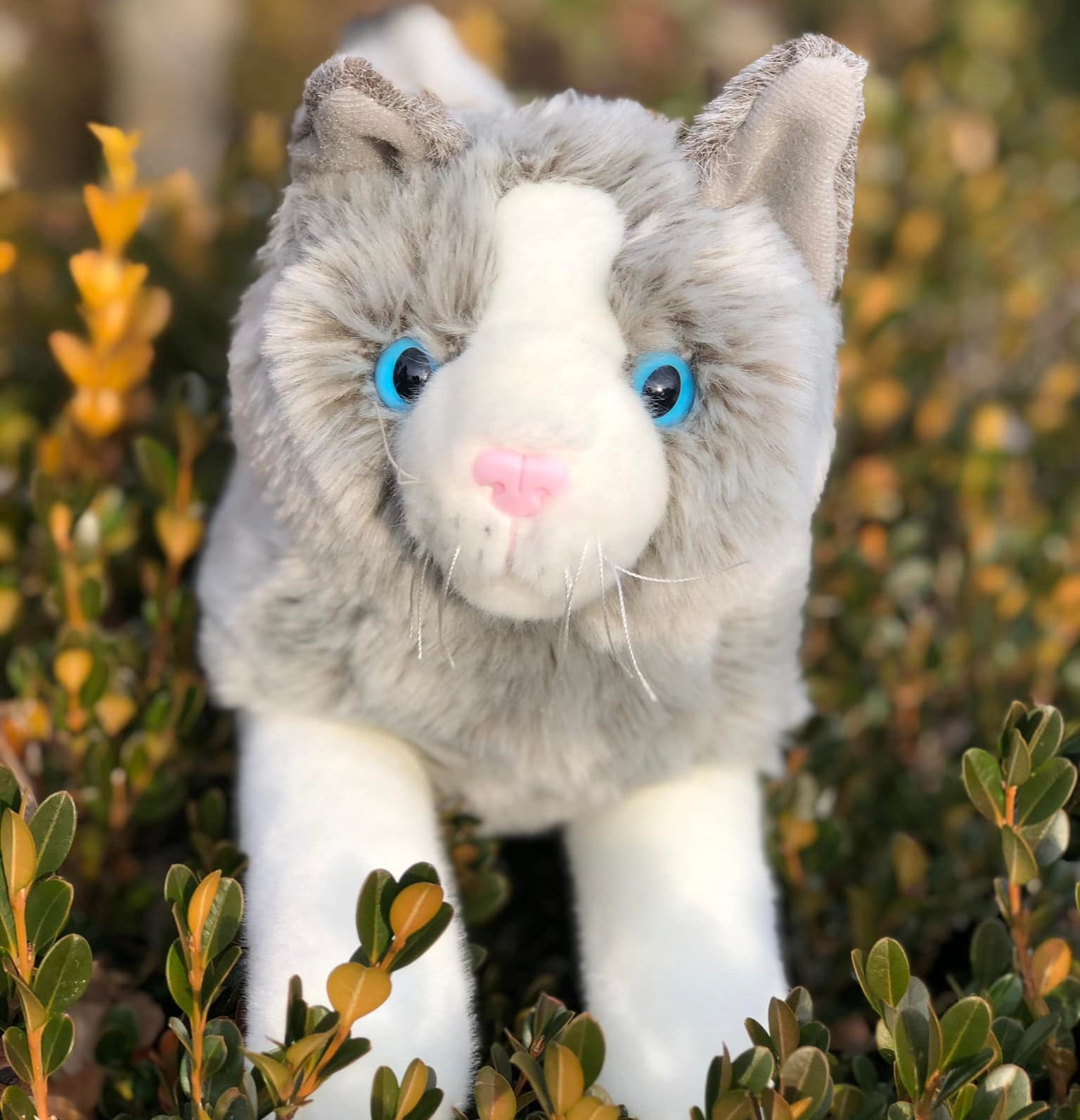 grey tabby cat soft toy