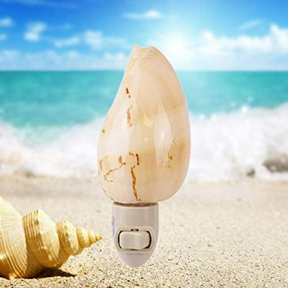 Authentic CERITHS Shells Seashell Night Light Lamp Decorative Home Decor Party Gifts EHD