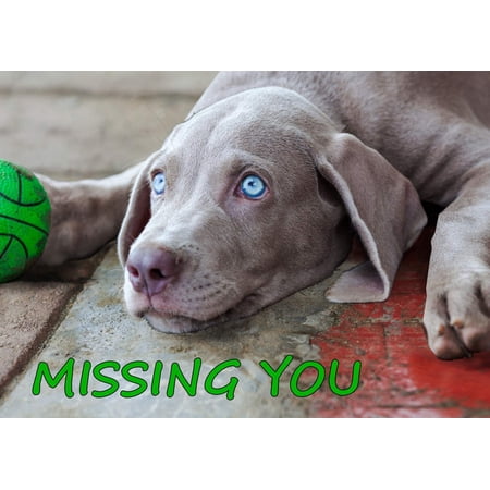 Authentic Cards Missing You