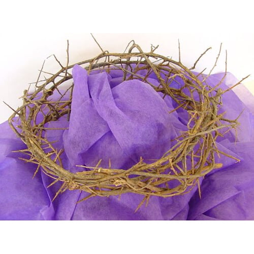 Authentic Crown of Thorns- Real Life Size
