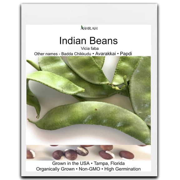 Authentic Indian Bean Seeds - 60 Count. Badda Chikkudu, Kothavarangai. Heirloom Non-GMO Vegetable Seeds, High Yield