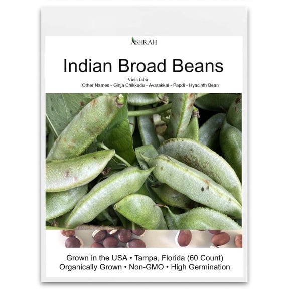 Authentic Indian Broad Bean Seeds - 60 Count. Ginja Chikkudu, Kothavarangai. Heirloom Non-GMO Vegetable Seeds, High Yield