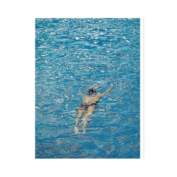 Authentic Poster Contemporary Photographer Jang Woo Chul  Print Poster, Poster Only