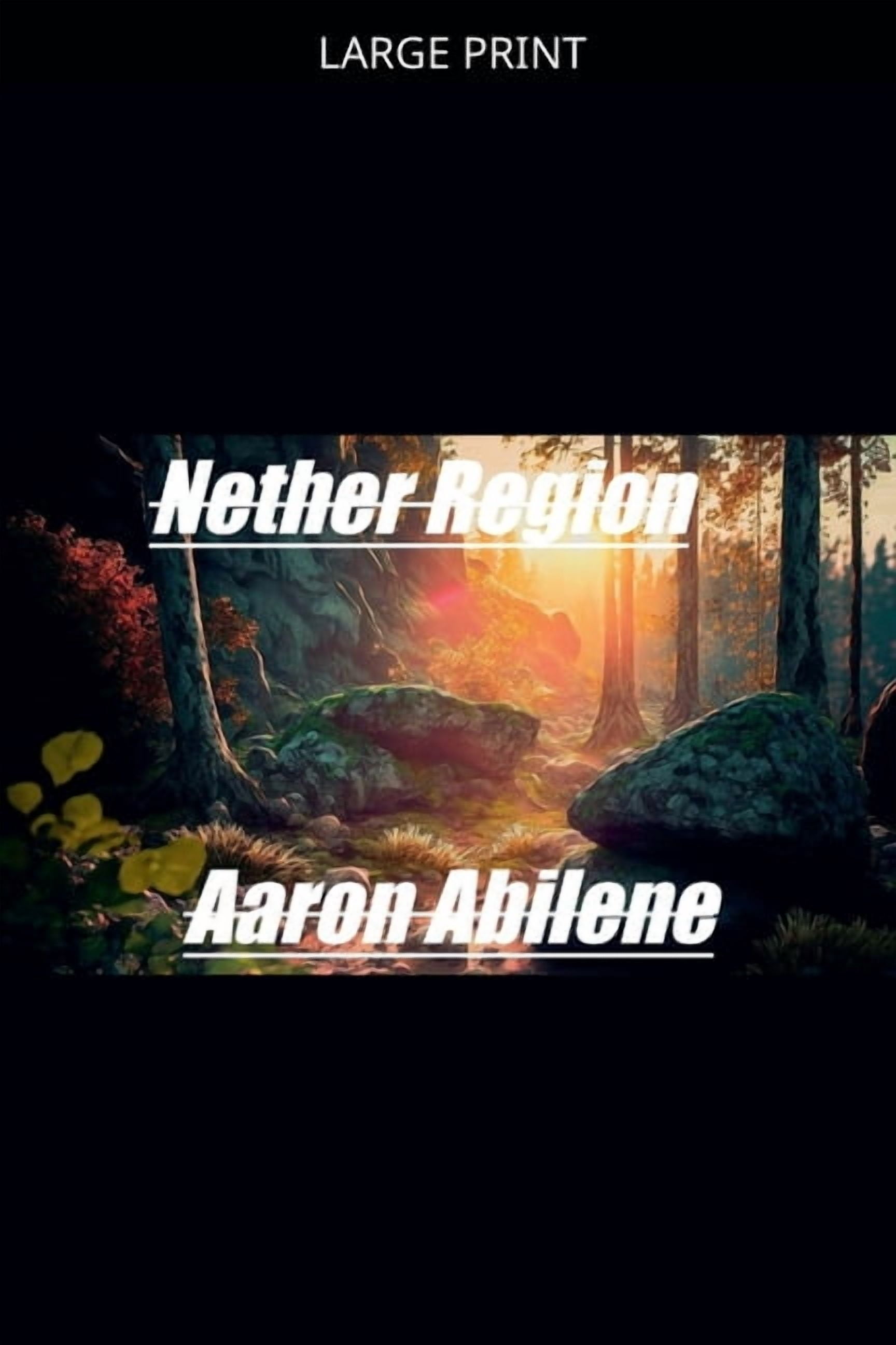 Author Nether Region, Book 5, (Paperback)