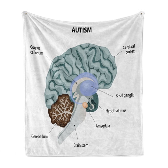 Autism Soft Flannel Fleece Throw Blanket, Graphical Interpretation of the Human Brain with All Parts Specified Lettering, Cozy Plush for Indoor and Outdoor Use, 50" x 70", Multicolor, by Ambesonne