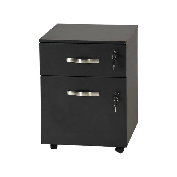 Auto Beyond 2-Drawer Vertical Metal File Cabinet Lockable, Pre-Assembled, Mobile A4 Size For Home/Office Use (Black)